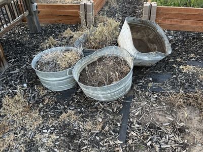 Rustic Galvanized Metal Tubs - 4 Piece Set for Garden Planters or Decor