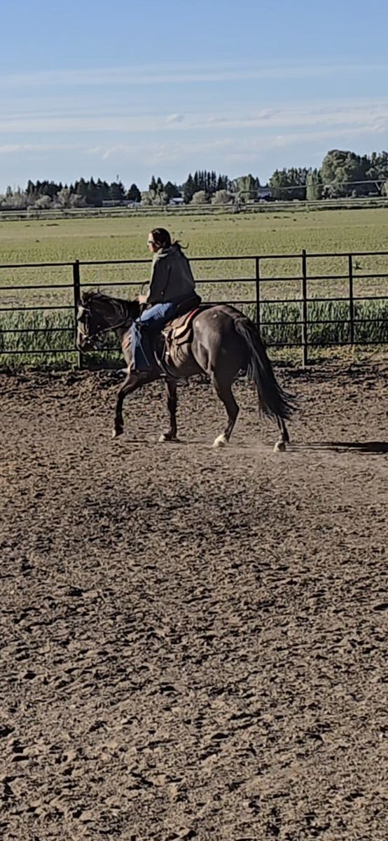 Training spot available