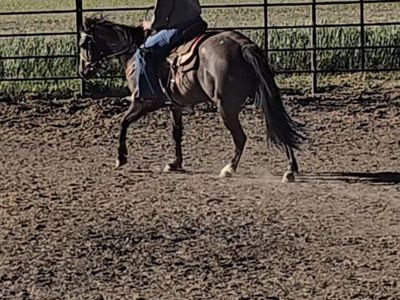 Training spot available