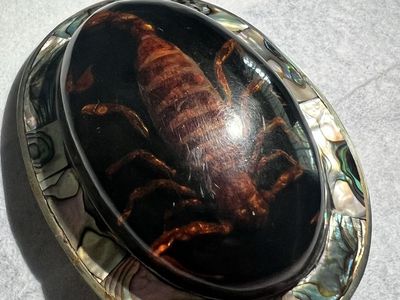 Vintage Abalone Inlaid Resin Scorpion Belt Buckle Oval