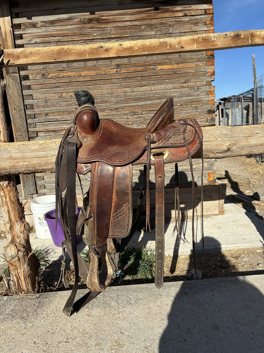 Dan high ranch saddle