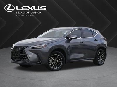 2025 Lexus NX 350h Luxury