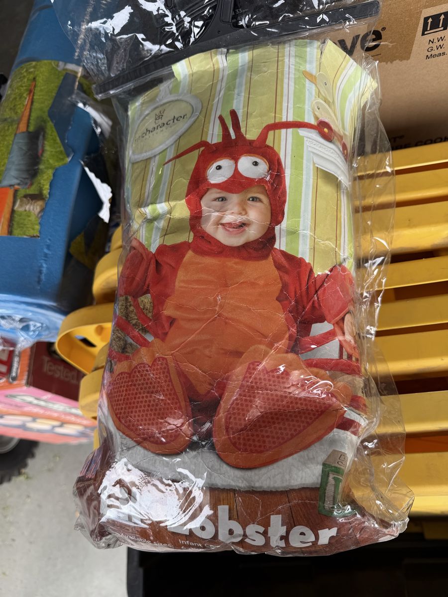 Baby Costume