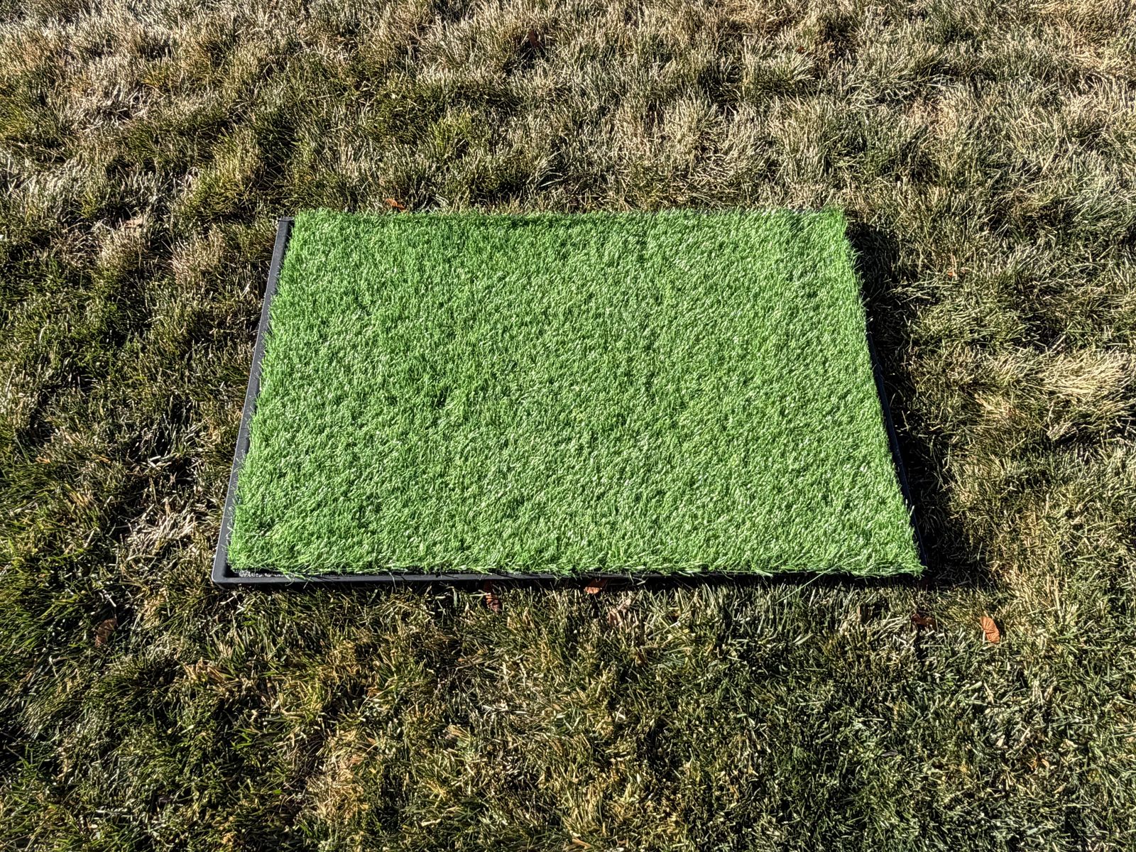 Dog Grass Potty Pad