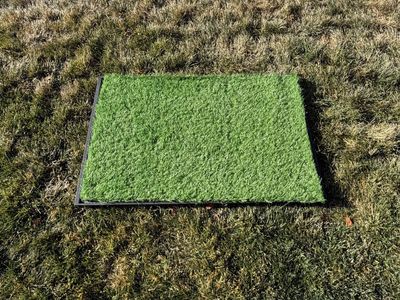 Dog Grass Potty Pad