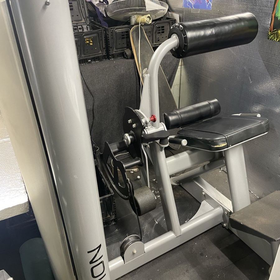 Freemotion Commercial Back Extension Machine