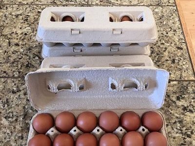 Fresh eggs