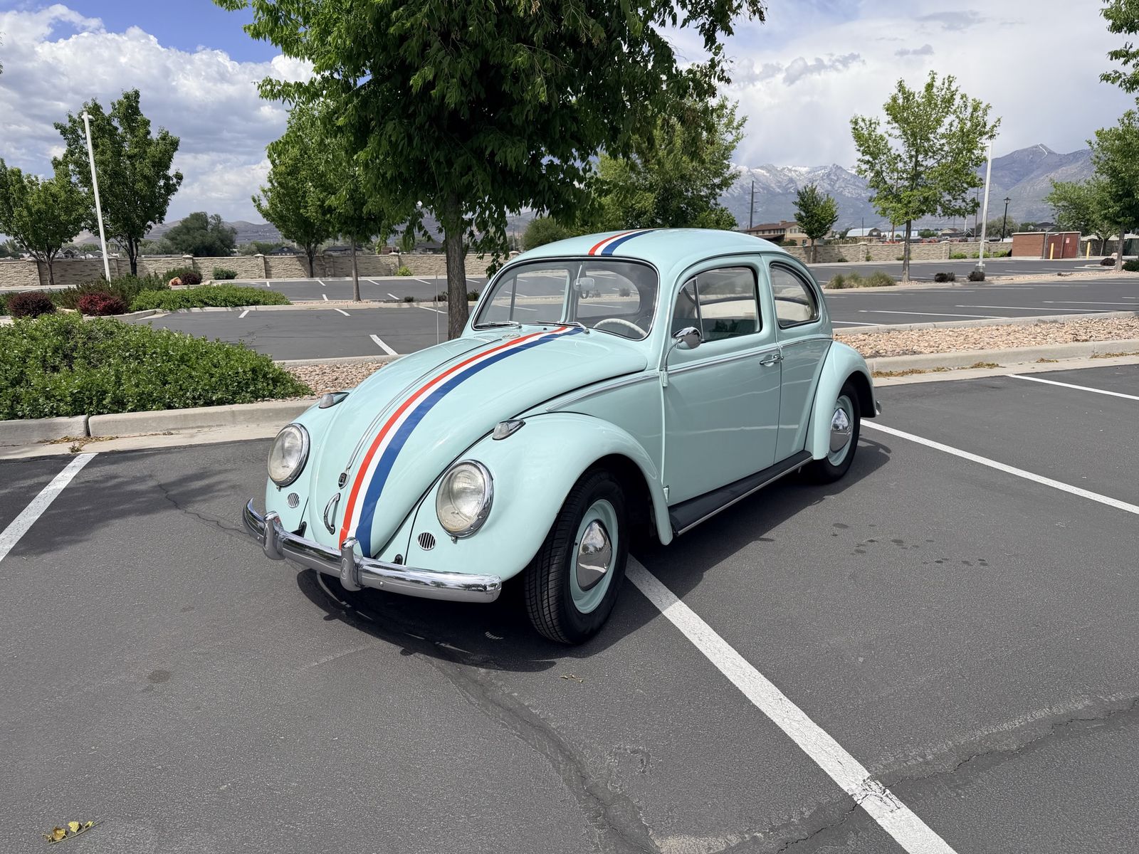 1964 Volkswagen Beetle 