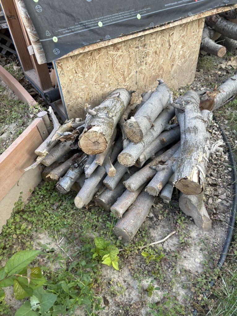Cherry Wood