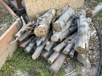 Cherry Wood