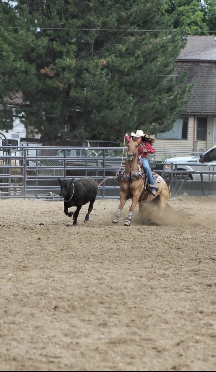 Breakaway and team roping horse