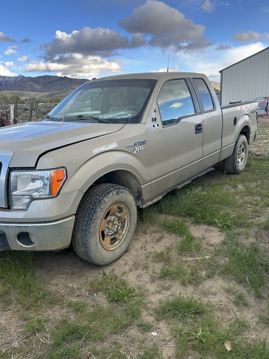 2010 F150 xlt