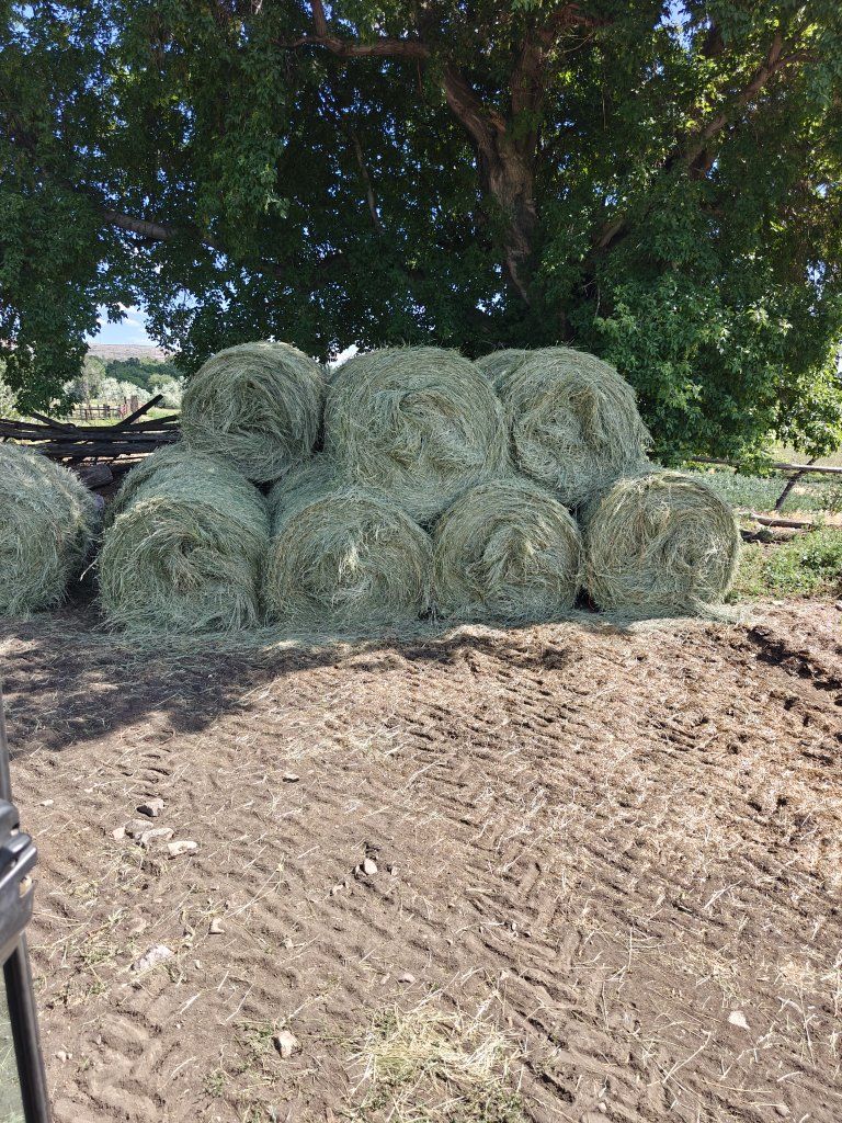 4 x 4 Round bale Grass Hay Approx 700 lbs. First Cut