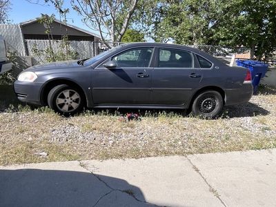 impala runs