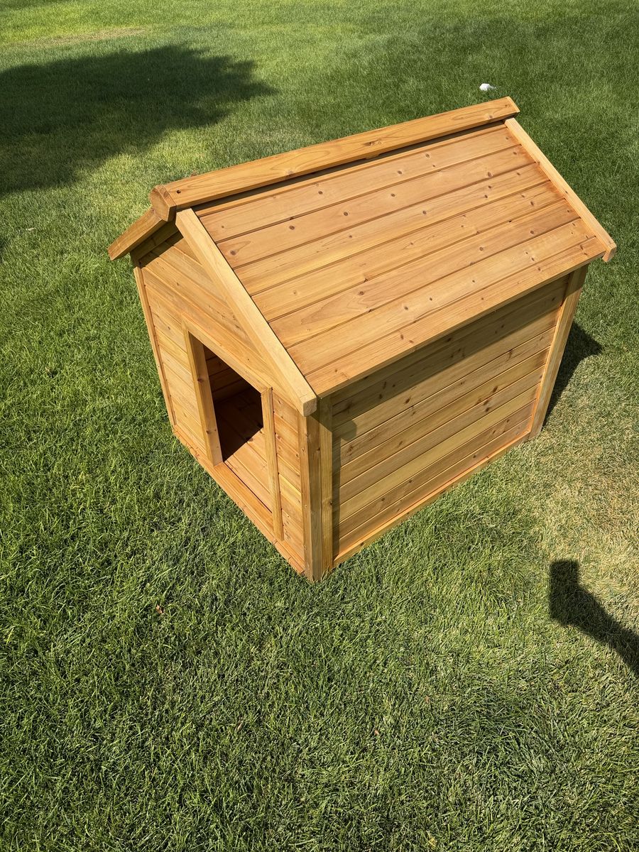 Main image 5
