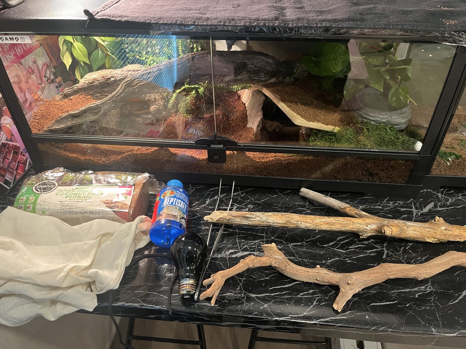 FULL TANK SETUP AND SNAKE.