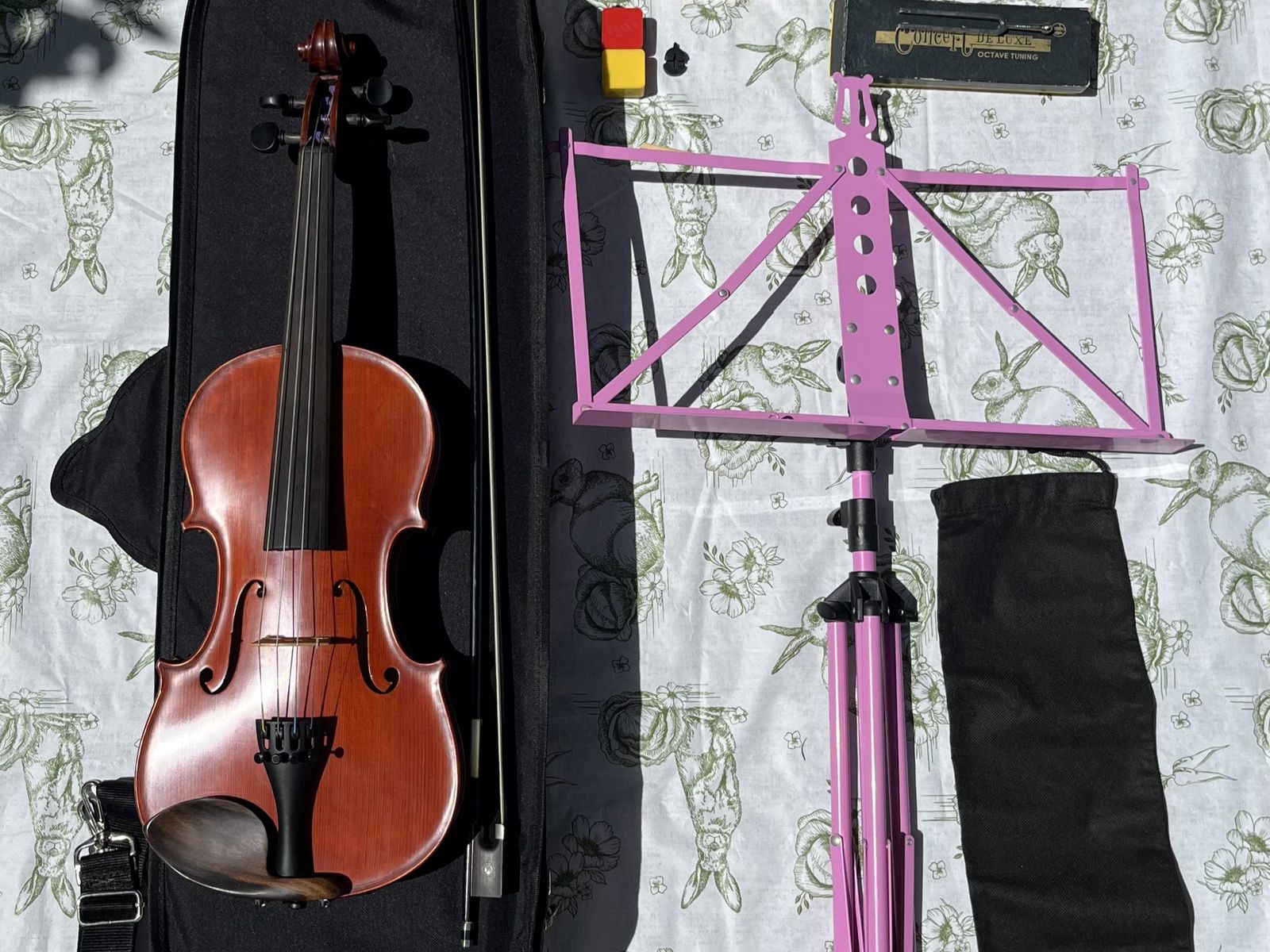 Andare GE-II Violin Bundle