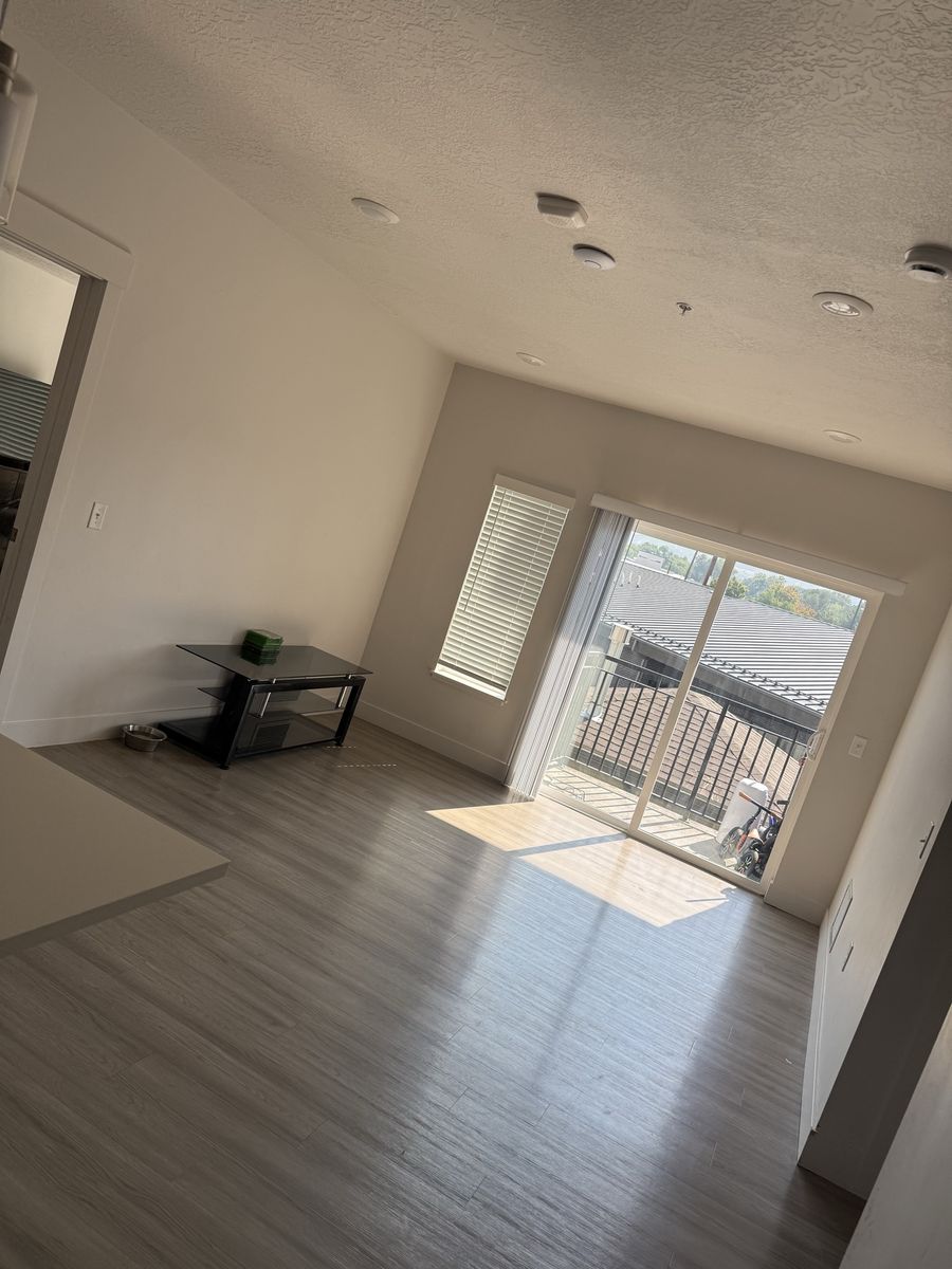 Main image 6