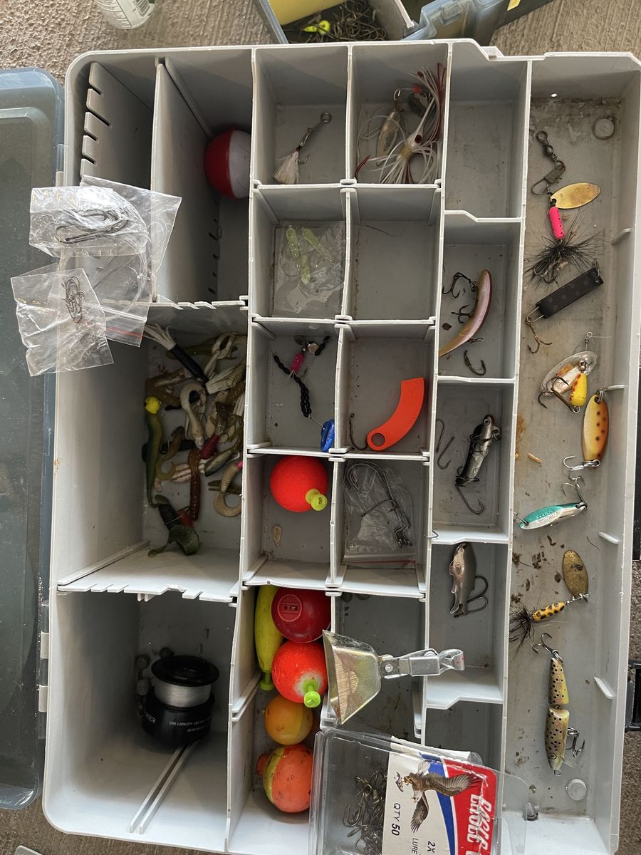 Main image 8