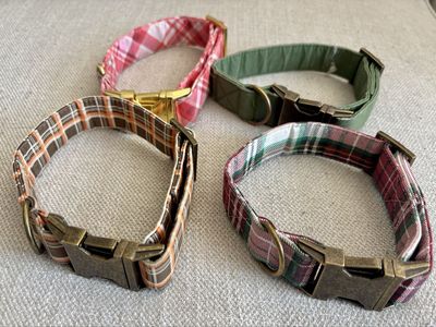 Festive Dog Collars