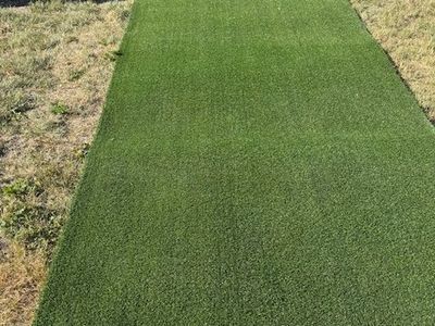 Baseball Softball Turf