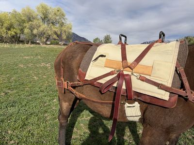 Decker pack saddle