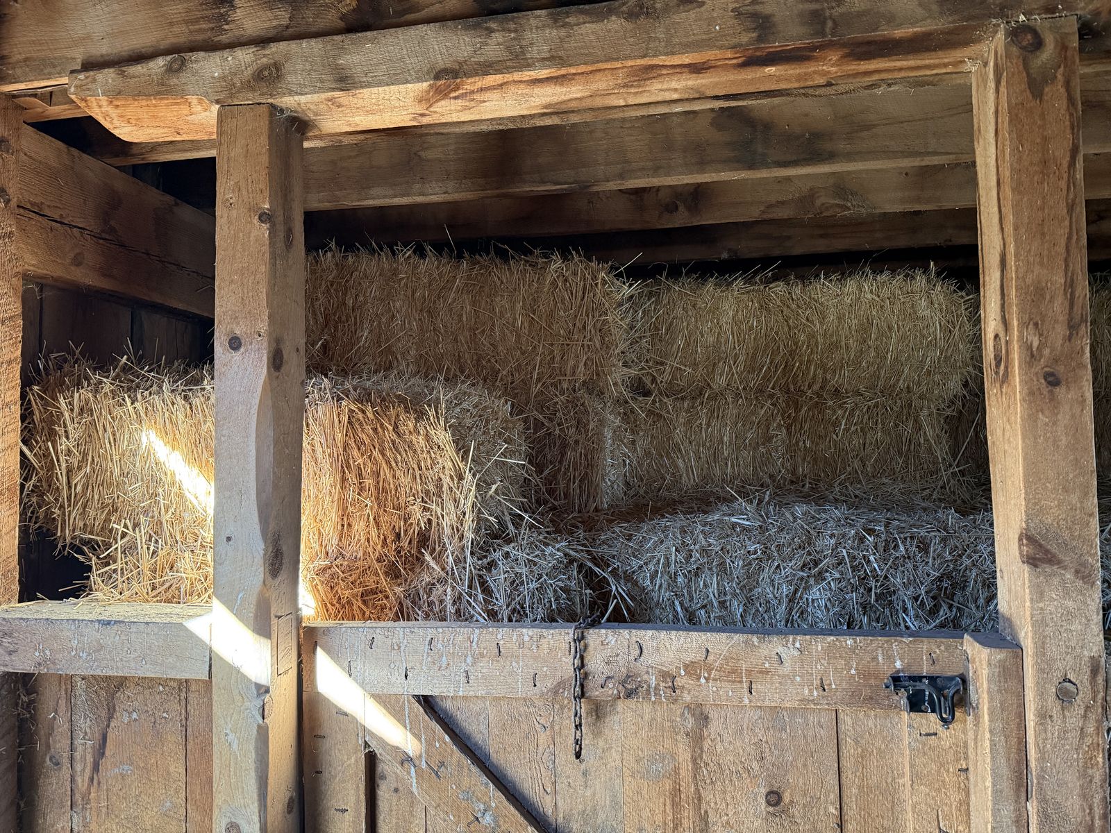 Straw Bales for Sale
