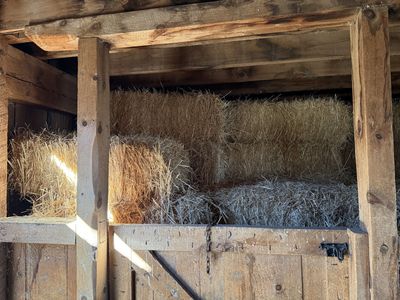 Straw Bales for Sale