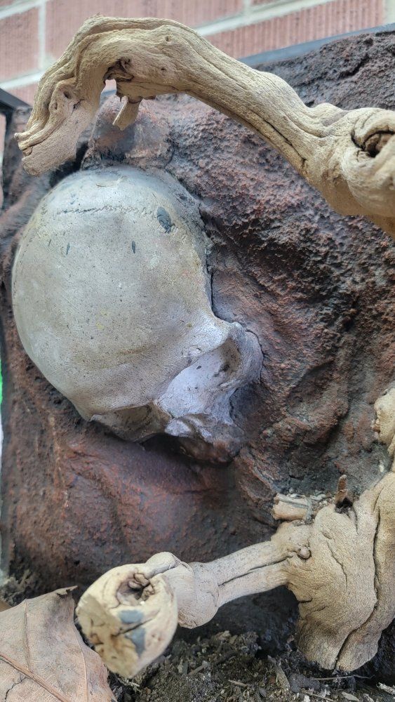 Main image 3