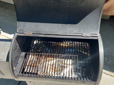 Traeger Pellet Grill with Cover and Digital Controller
