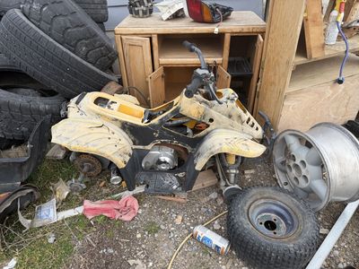 Chinese atv