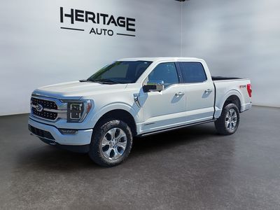 2023 Ford F-150 Platinum