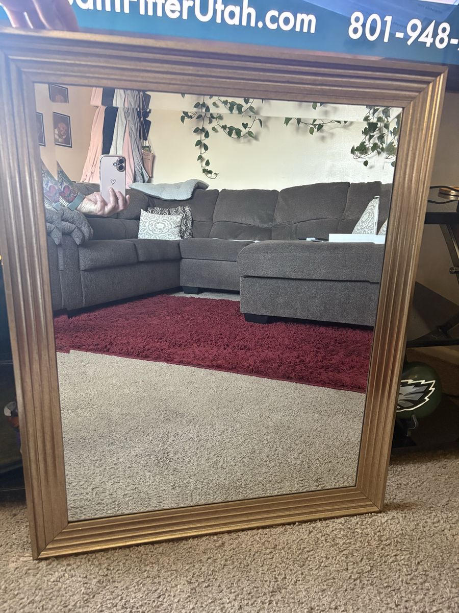 Gold Framed Wall Mirror