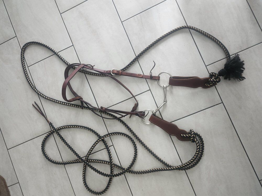 Mecate reins & headstall