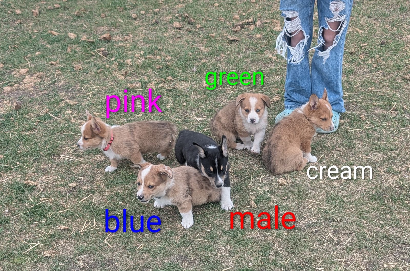 Main image 6