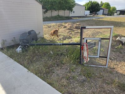 Portable Basketball Hoop