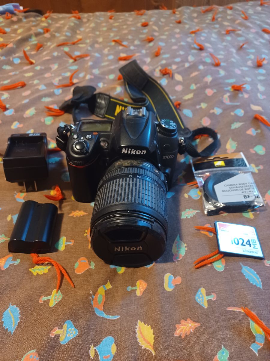 Nikon D7000 Camera and Lens