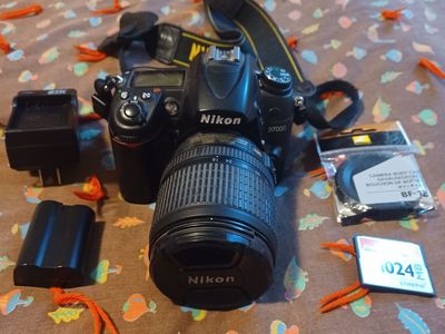Nikon D7000 Camera and Lens