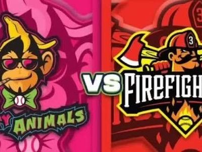 1 Ticket: Firefighters vs Party Animals (Saturday Game) - Sec 116, Row 3
