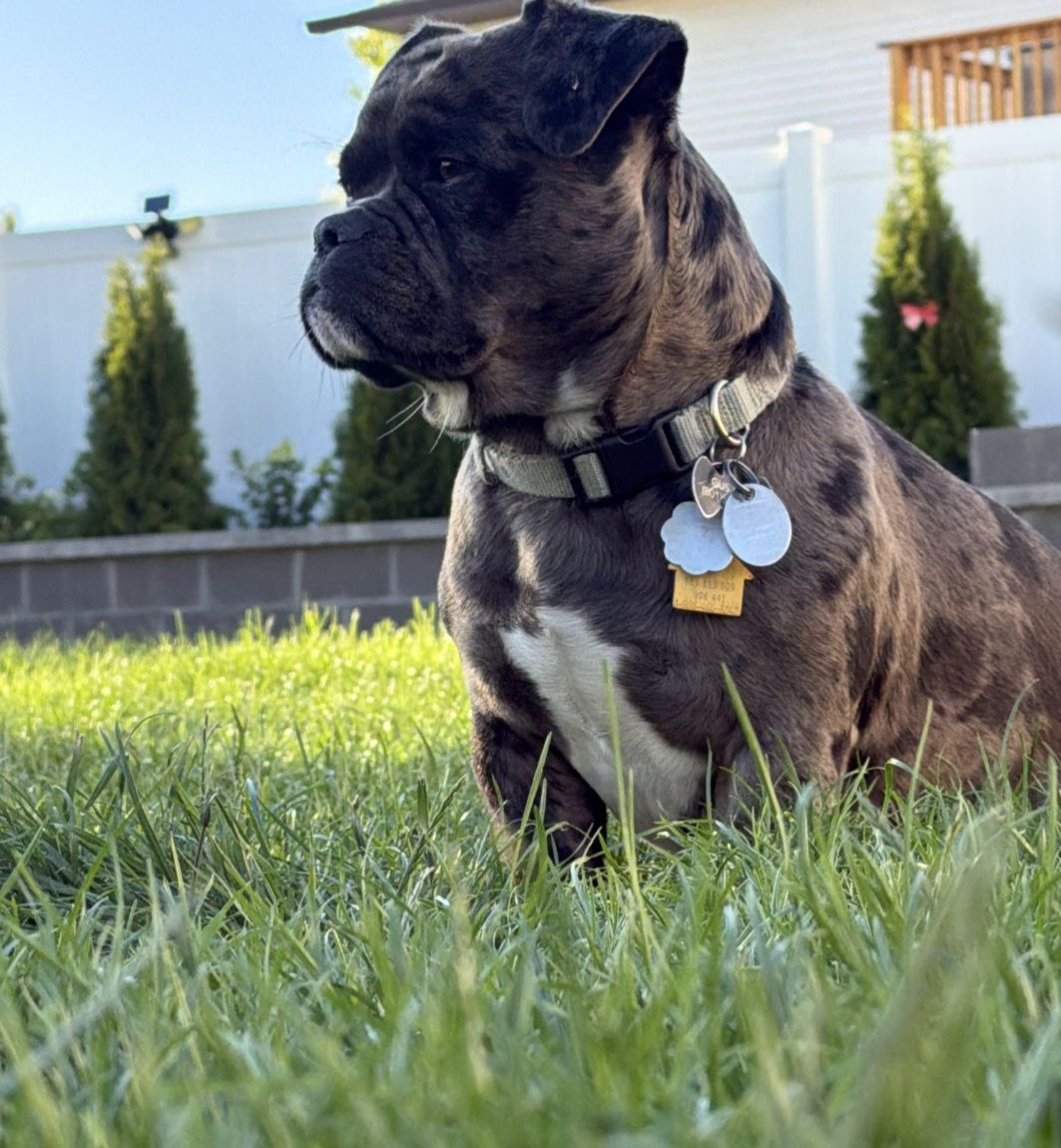 Bullshit  almost 2