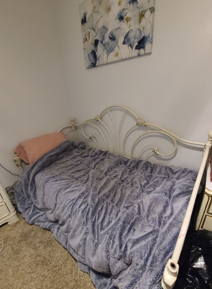 Iron Ivory Twin trundle daybed