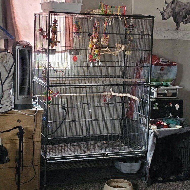 large bird cage