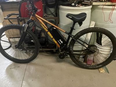 E Bike (rocky Mountain Fusion 29)