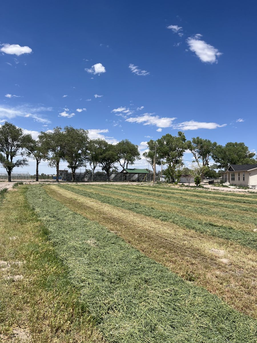 LAND FOR SALE, 12 acres inside city limits!