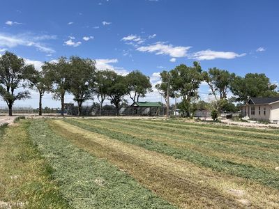 LAND FOR SALE, 12 acres inside city limits!