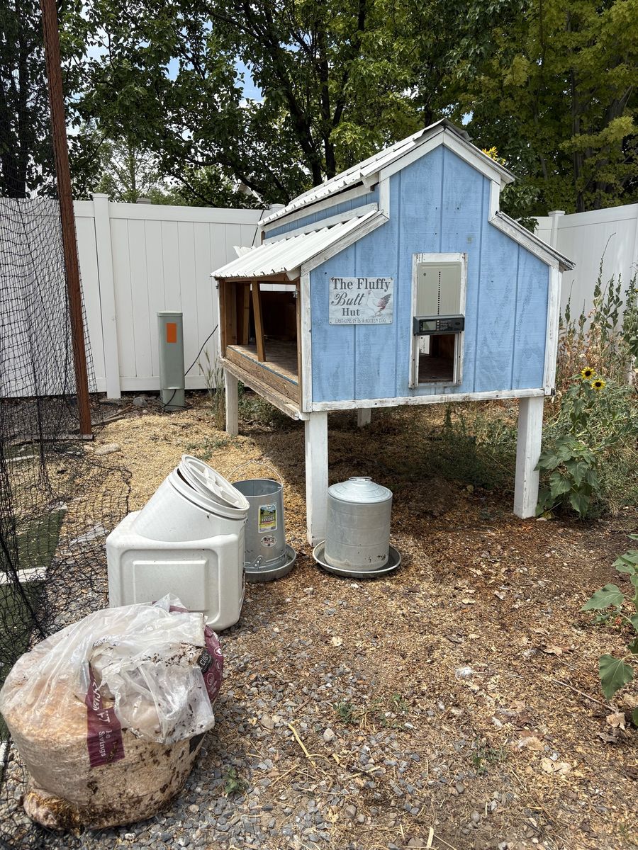 Chicken coop and supplies