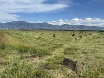 Good Grass Hay for Sale