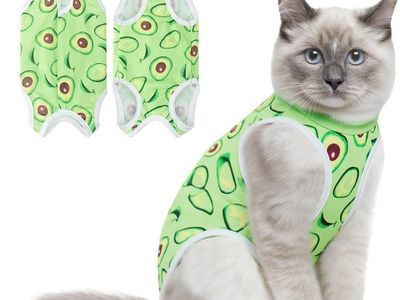 Cat Recovery Suit Female, Medium, Avocado