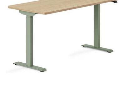 Branch Standing Duo Desk 58 Inch