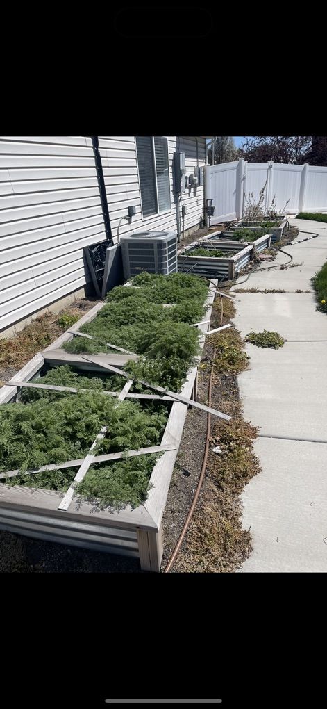 Weeds Removal Yard Clean Up Mowing Great Prices